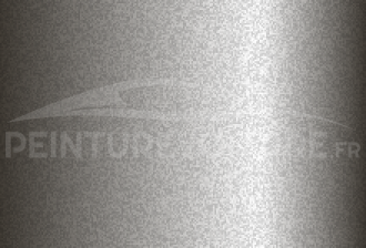 Code peinture Ssangyong SD/CS404 Fungus Silver