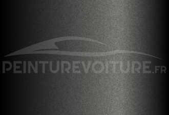 Code peinture Hyundai SG Smoky Grey