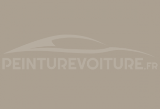 Code peinture Asia Motors SG Soldier Grey