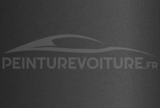 Code peinture Hyundai SG918M  Iron Gray