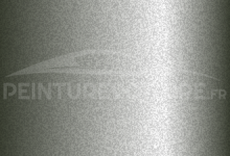 Code peinture Hyundai SK Silver Sage