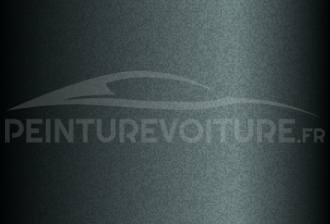 Code peinture Hyundai SK7 Misty Olive