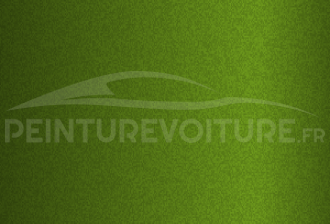 Code peinture Byd Auto SSL Rustling Green