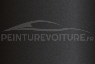 Code peinture Suzuki Moto 31 Dark Grey