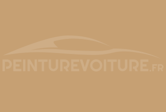 Code peinture Ford SVO21 Light Stone