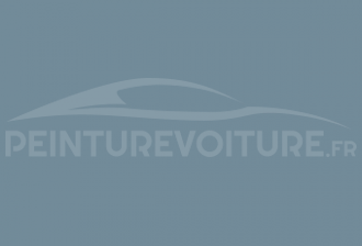 Code peinture Ford SVO23 Smoke Grey