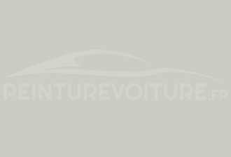 Code peinture Ford SVO269 Light Grey