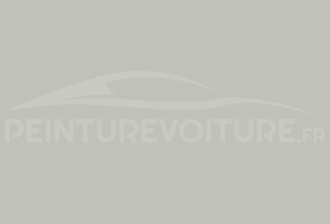 Code peinture Ford SVO287 Light Grey