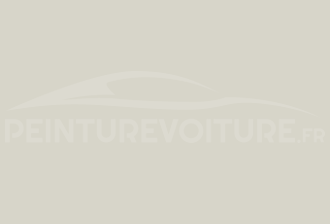 Code peinture Ford SVO289 Light Grey