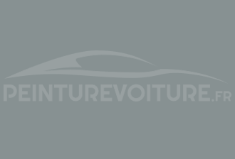 Code peinture Ford SVO309 Grey