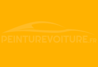 Code peinture Ssangyong SY Special Yellow