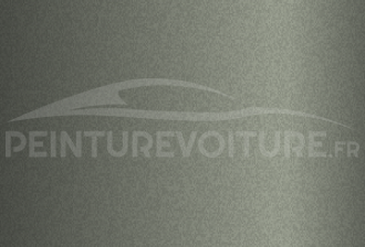 Code peinture Hyundai SY9 Sage Grey
