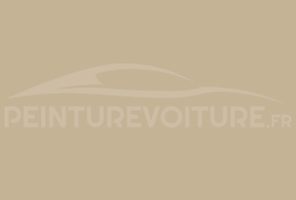 Code peinture Daihatsu T06 Camel Beige