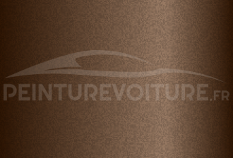 Code peinture Daihatsu T07 Brown