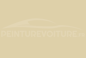 Code peinture Daihatsu T19 Ivory