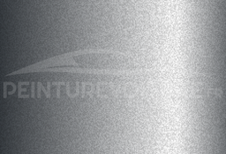 Code peinture Hyundai T2X Typhoon Silver