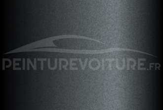 Code peinture Hyundai T6S Titanium Silver