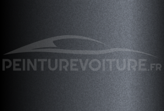Code peinture Ford XSC2228 Flint Grey