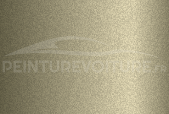 Code peinture Hyundai TA Timber Frost