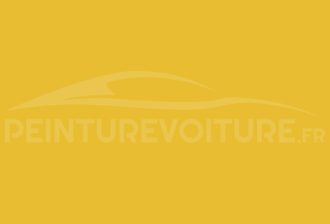Code peinture Tata Motors TAT157 Mapples Yellow