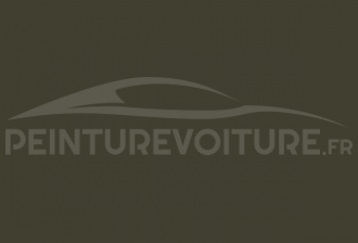 Code peinture Tata Motors TAT605 Scamic Olive Green