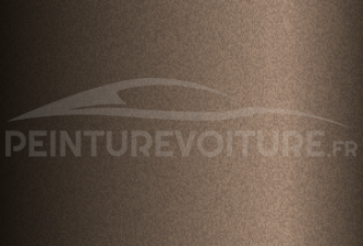Code peinture Tata Motors TAT801 Urban Brown