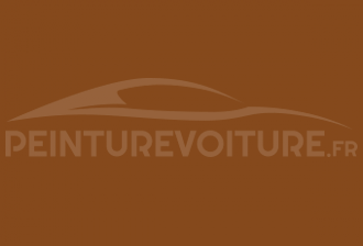 Code peinture Tata Motors TAT802 Golden Brown