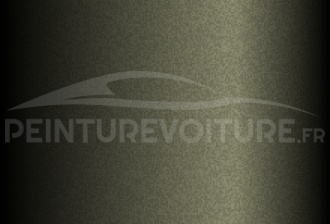 Code peinture Hyundai TCM Ash Black
