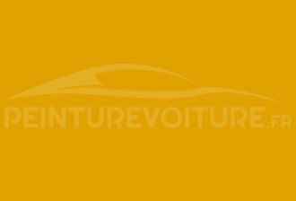 Code peinture Mitsubishi TE4 Broom Yellow