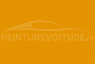 Code peinture Mitsubishi TJ8 Maize Yellow