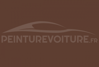 Code peinture Amc-Jeep TOP Brown Matt Hard Top
