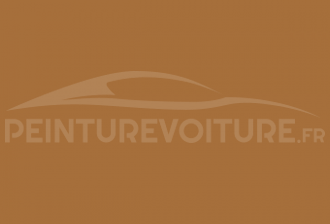 Code peinture Mitsubishi TT Saddle Tan