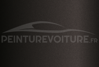 Code peinture Hyundai U5B Umber Brown