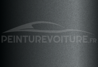 Code peinture Hyundai U9G Metropolis (luna Gray)