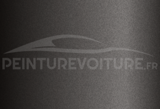 Code peinture Hyundai V5N Velvet Dune