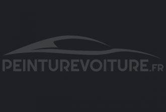 Code peinture Suzuki Moto V683 Grigio (burgman)