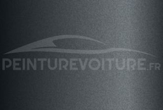 Code peinture Hyundai V6S Polished Metal