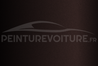 Code peinture Hyundai VR5 Black Berry