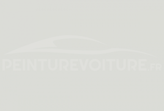 Code peinture Microcar W01 Blanc