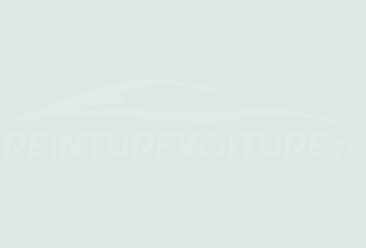Code peinture Ssangyong W02 Iceberg