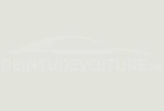 Code peinture Daihatsu W09 White