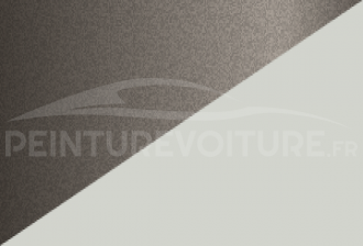 Code peinture Mitsubishi W15 W18 + S83
