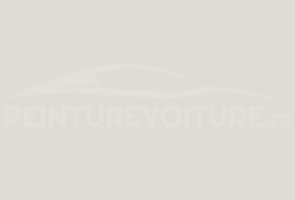Code peinture Daihatsu W19 White