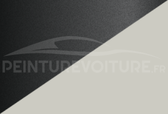 Code peinture Mitsubishi W4X W09 + X05(x15)