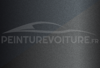 Code peinture Hyundai W5 U7 + Xa