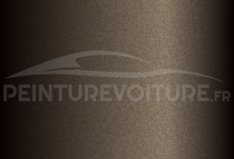 Code peinture Hyundai W6Y Echo Beige