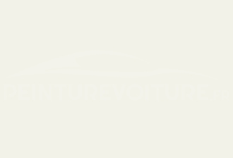 Code peinture Proton W83/10983 Artic White-natural White-lace White