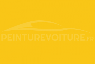 Code peinture Mitsubishi W99 Sunrise Yellow