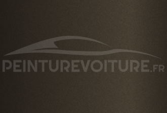 Code peinture General Motors (USA) WA105V Subterranean Brown