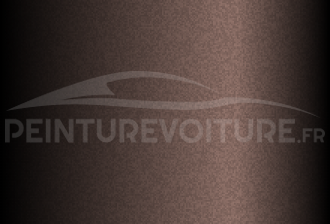 Code peinture Hyundai WB4 Cool Brown